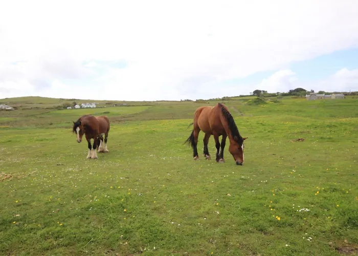 Holiday home King's *